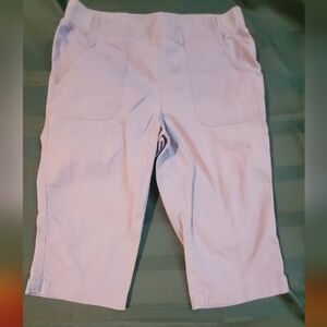 Womens Size 6P Light Blue Shorts